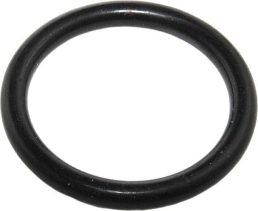O-ring 20mm
