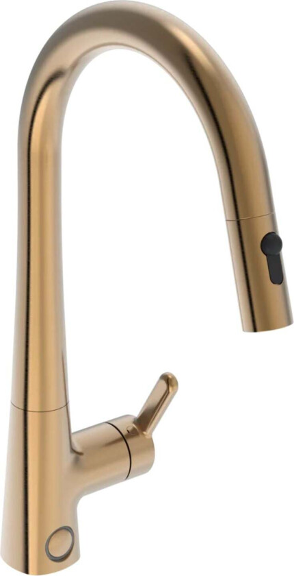 Inspera 3031f/3032f Kjøkkenarmatur - Uttrekkbar tut Børstet Bronse / Ja