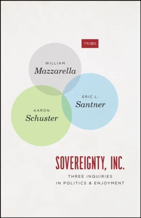 Sovereignty, Inc. av William Mazzarella, Eric L Santner, Aaron Schuster