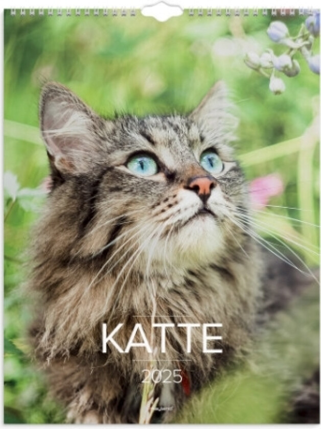Vægkalender Katte 2025