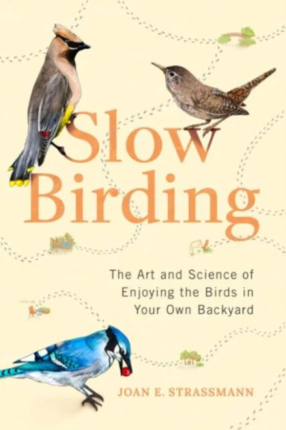 Slow Birding av Joan E. (Joan E. Strassman) Strassman