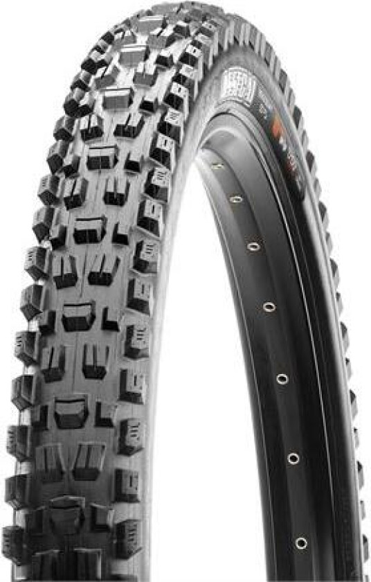 Bilde av Assegai TR EXO+ 29 WT, 3C29" x 2.50", 1140gr, 60tpi, MaxxGrip