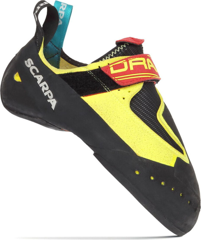 Drago36