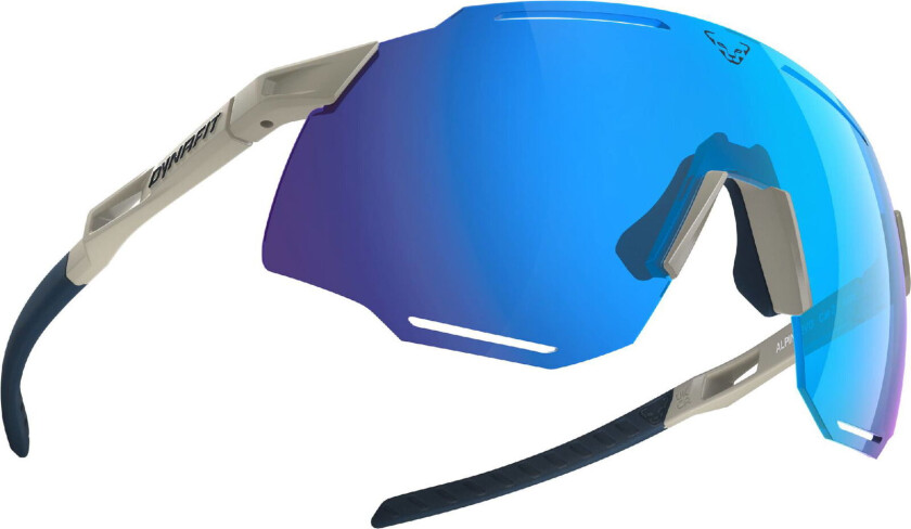Alpine EVO Sunglassesrock khaki/blueberry, EVO cat.3
