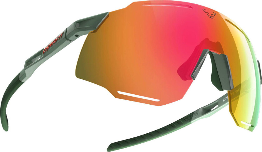 Alpine EVO Sunglassessage/Thyme, EVO cat.3