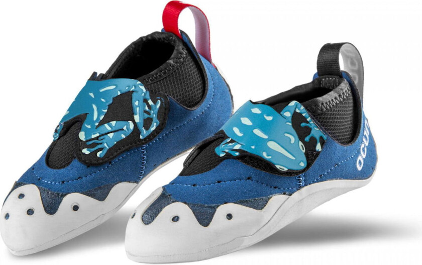 Ribbitdark blue 24