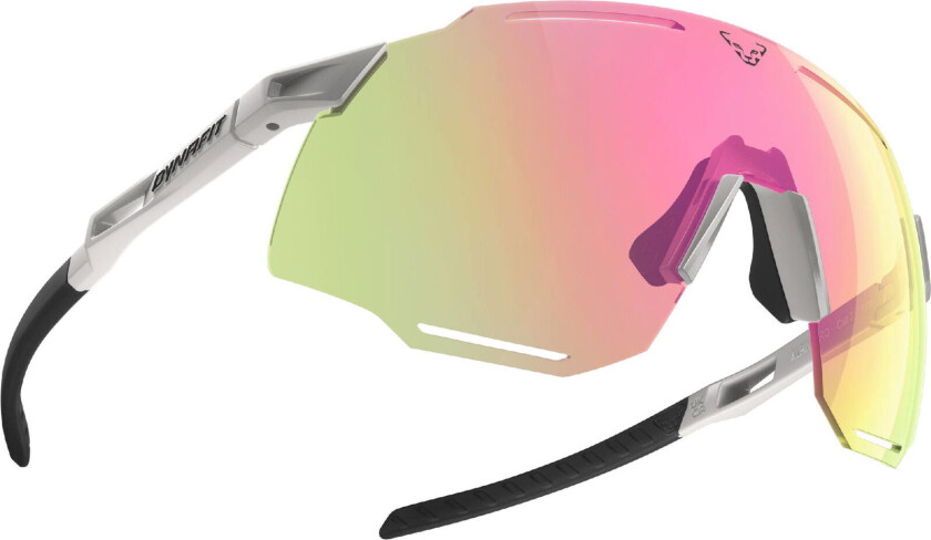 Alpine Pro Sunglassesnimbus/black out, fotokromatisk,cat. 1-3