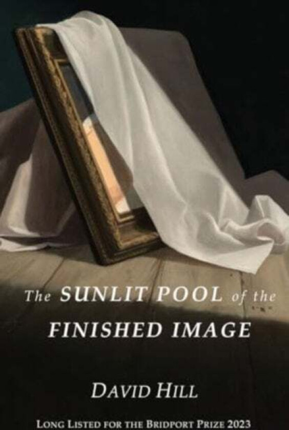 The Sunlit Pool of the Finished Image av David Hill
