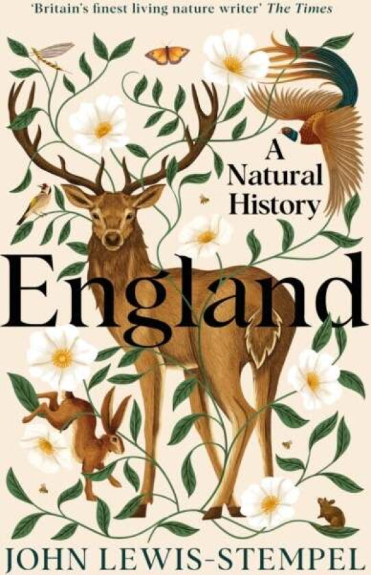 England av John Lewis-Stempel