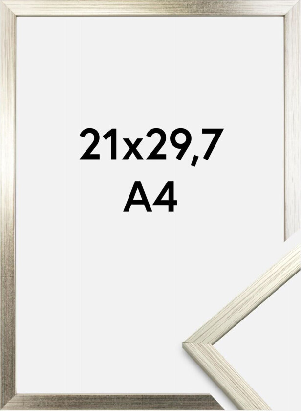 Ramme Edsbyn Akrylglass Sølv 21x29,7 Cm (A4)