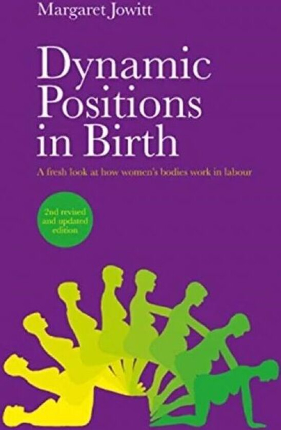 Dynamic Positions in Birth av Margaret Jowitt