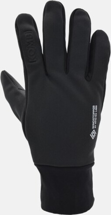 Multi Mission Gtx Glove, Black, L,  Skihansker