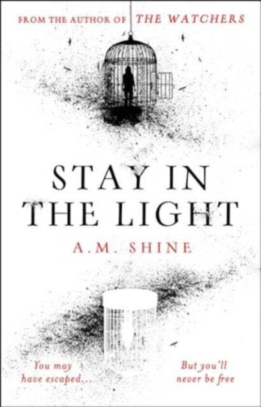 Stay in the Light av A.M. Shine