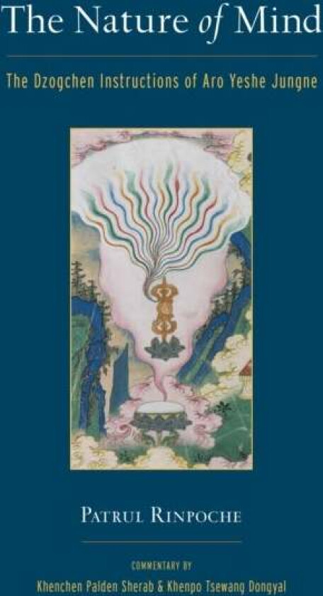The Nature of Mind av Khenpo Tsewang Dongyal, Patrul Rinpoche, Sherab