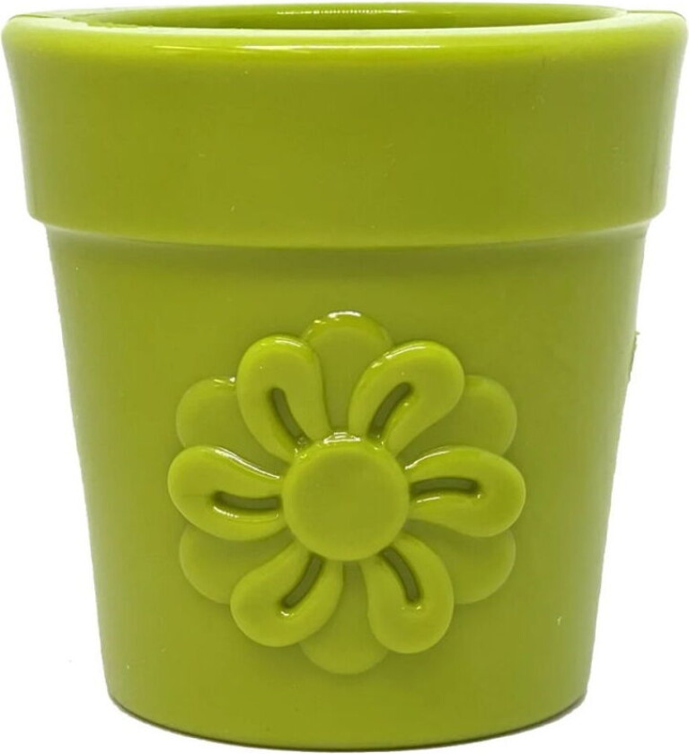 Flower Pot Aktivitetsleke 9 cm (Grønn)