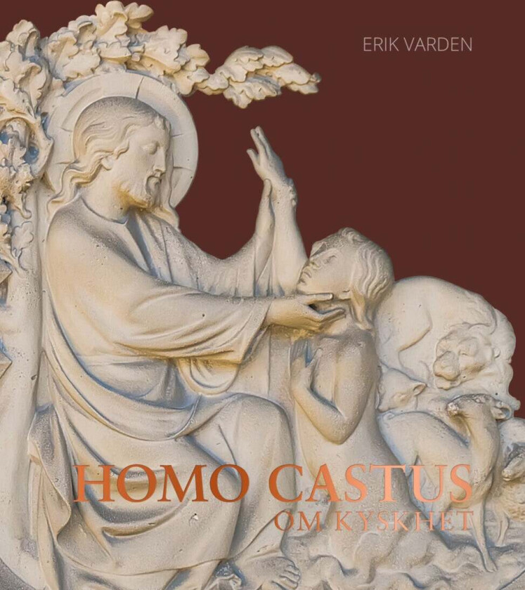 Homo castus av Erik Varden
