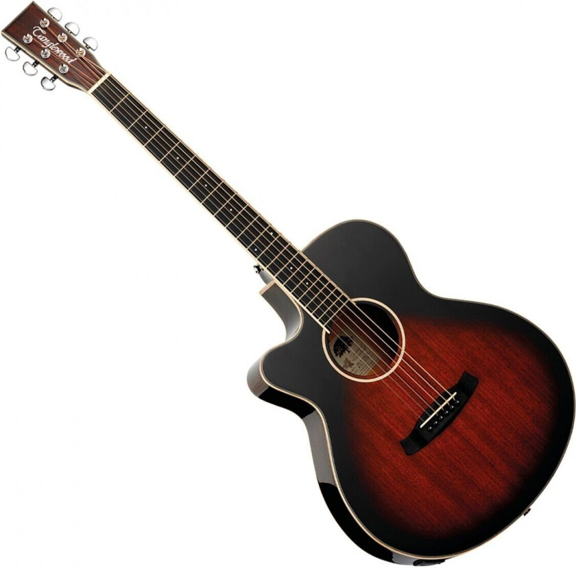 TW4 CE LH Winterleaf Left Handed Autumn Vintage Burst