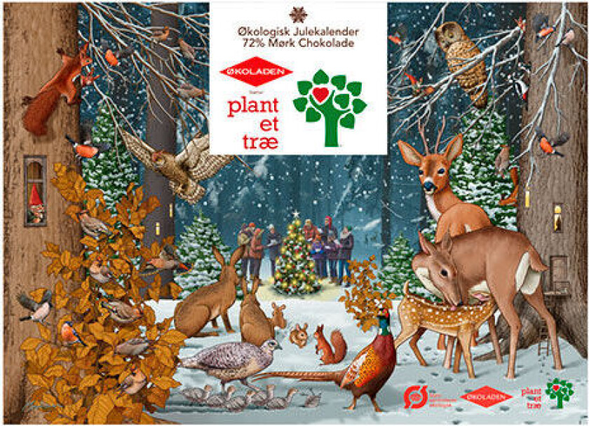 Julekalender Børn 72% mørk Chokolade Øko Plant Et Træ - 120 g