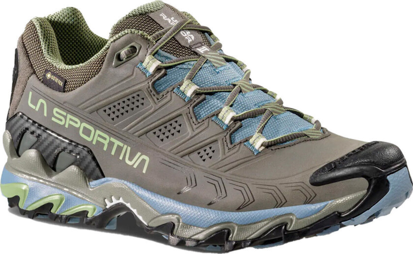 Women's Ultra Raptor II Leather GORE-TEX Clay/mist 37