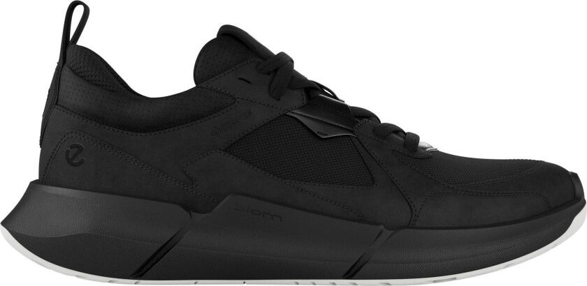 Women's Biom 2.2 W Low GORE-TEX Lea Black/Black 36