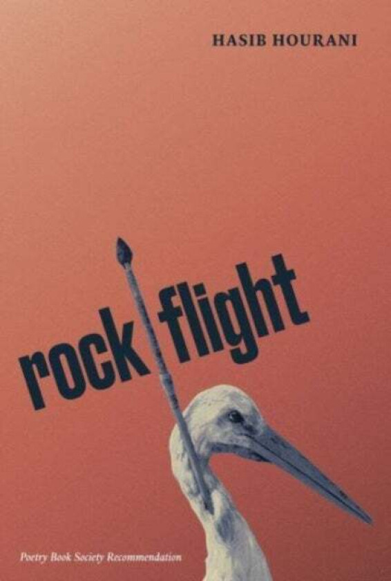 rock flight av Hasib Hourani