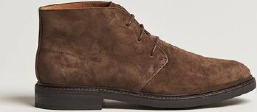 Polo Ralph Lauren Asher Chukka Boot Chocolate Brown Suede