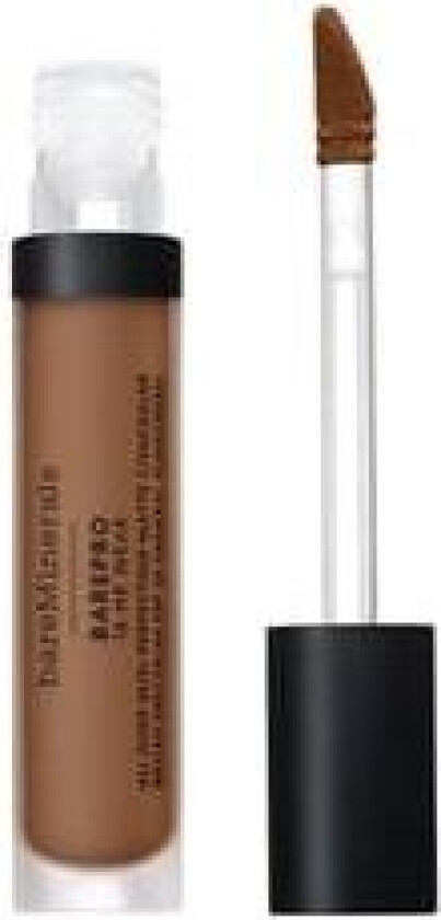 Bareminerals Barepro All Over Skin Perfecting Concealer Medium Deep 450 Neutral