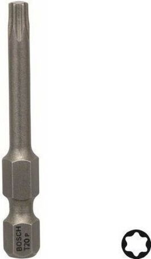 T20 Bits 1-pakn. 49 mm