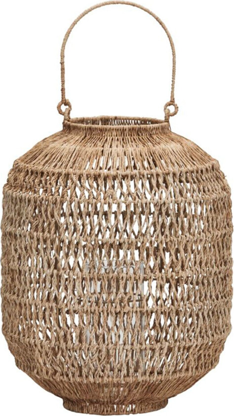 Dive lykt stor, natur