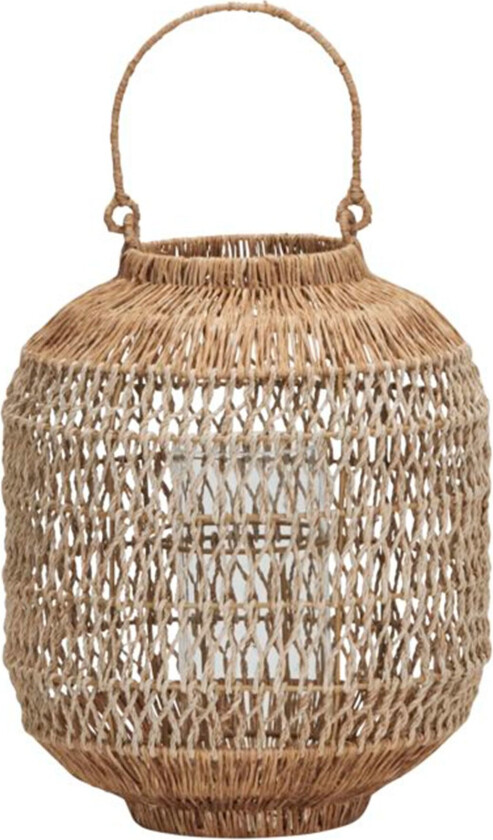 Dive lykt liten, natur