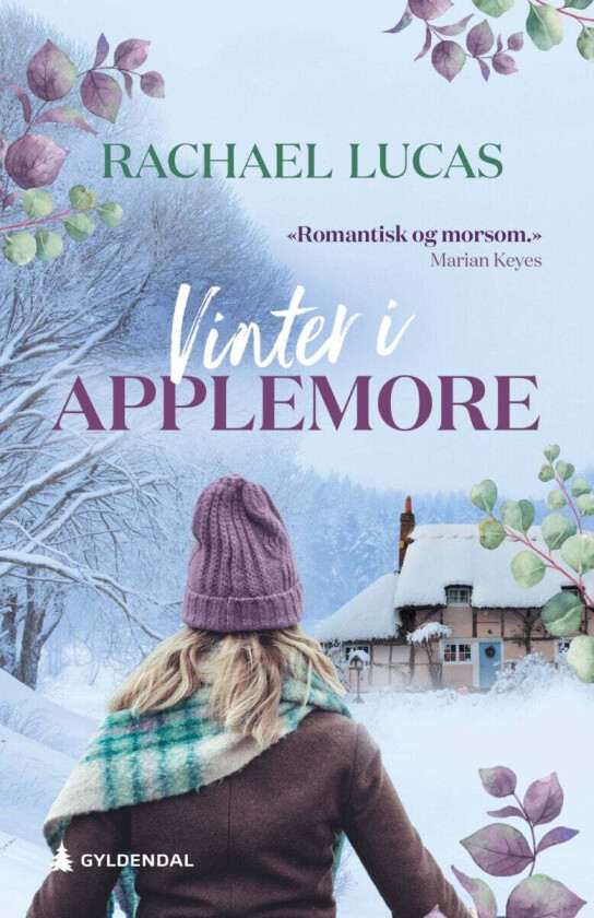 Vinter i Applemoore av Rachael Lucas