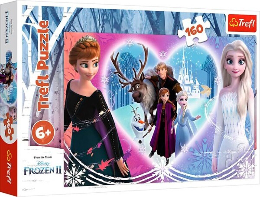 Puzzle - Frozen - Joyful moments (160 pieces) Gulv