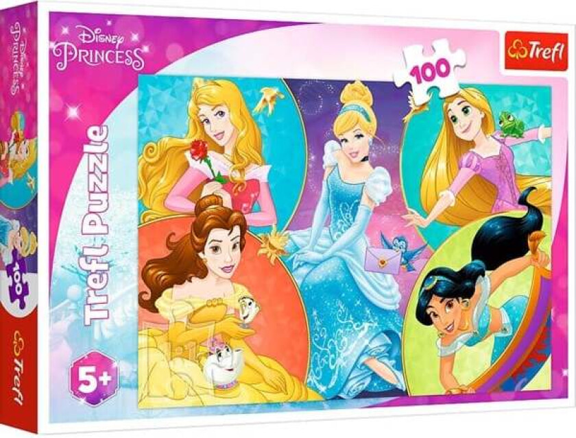 Puzzle - Princess - Meet sweet Princesses (100 pieces) Gulv