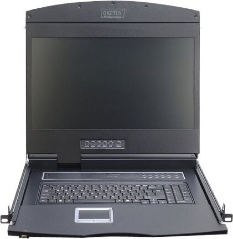 Professional Ds-72211 - Kvm-Konsoll - 19" - Rackversjon - 1366 X 768 @ 60 Hz - 1000:1 - Sortering, Ral 9005 - 1U