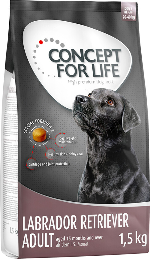 4 x 1 kg / 1,5 kg Concept for Life til spesialpris! - Labrador Retriever Adult (4 x 1,5 kg)