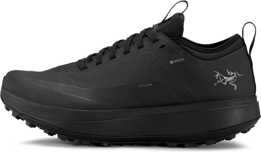 Sylan Gtx W Black / Black 6.5