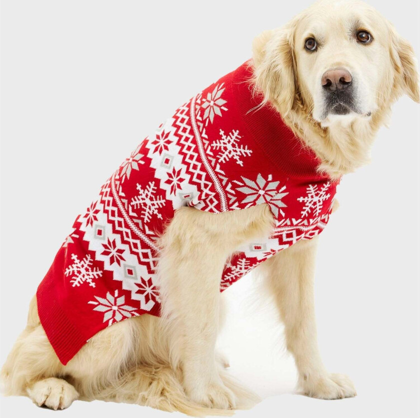 Den cute hunde Julegenser