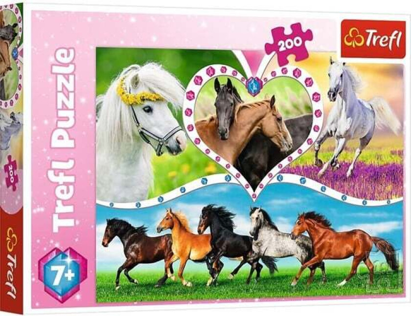Puzzle - Beautiful horses (200 pieces) Gulv