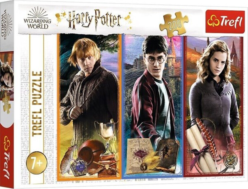 Puzzle - Harry Potter - In the world of magic and witchcraft (200 pieces) Gulv