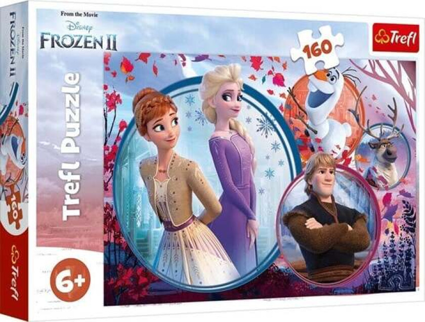 Puzzle - Frozen - Sister adventure (160 pieces) Gulv