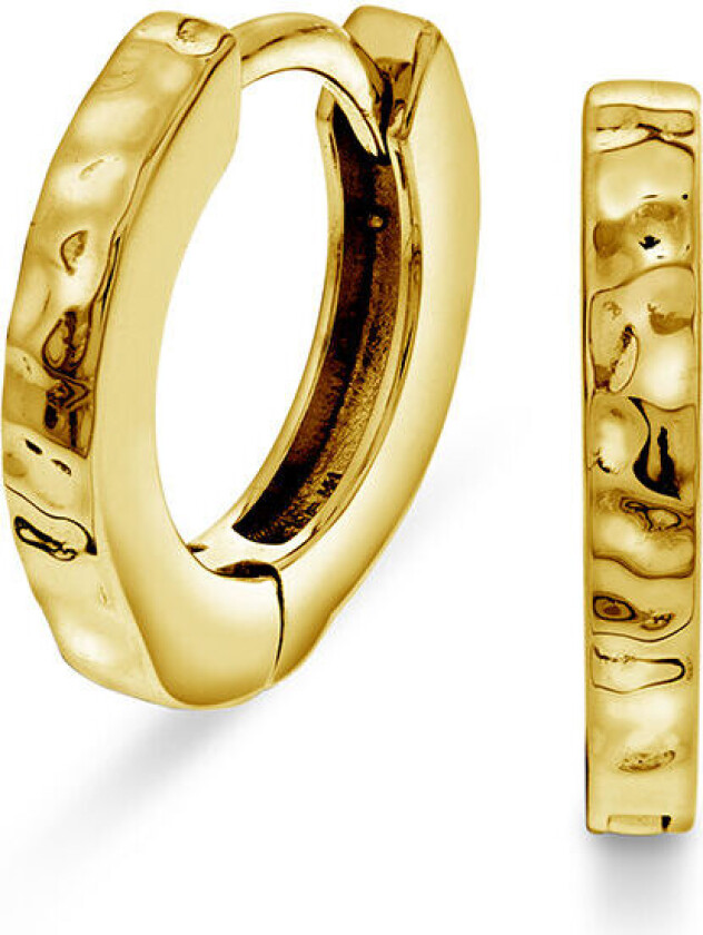 , Øreringer i forgylt sølv