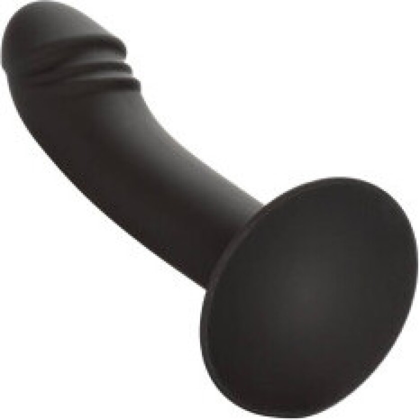 - Curved Anal Stud