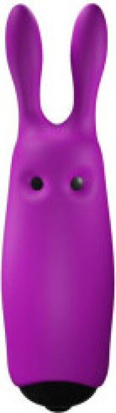 - Lastic Pocket Violet Rabbit Vibrator