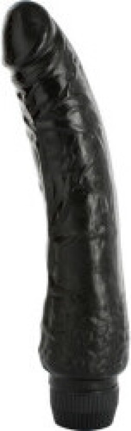 - Black Jelly Vibrator 20 Cm