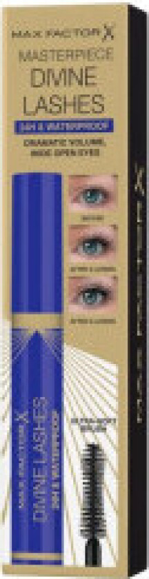 Divine Lashes 24h y Waterproof Mascara Black