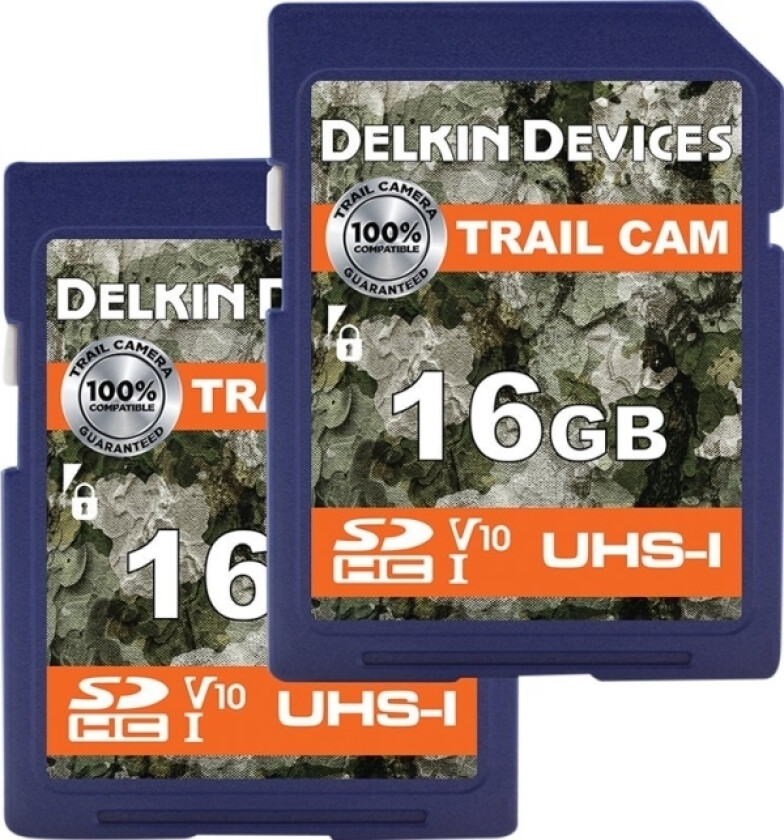 Kart Delkin Delkin Sdhc Trail Cam R100/W30 (V10) 16Gb (2Pk)