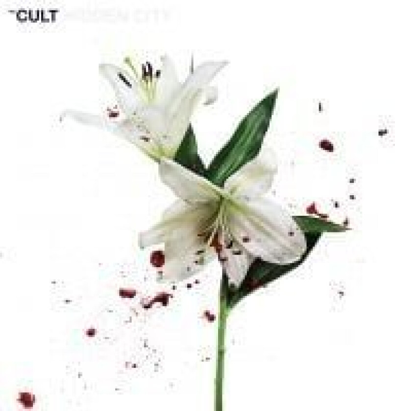 The Cult - Hidden City
