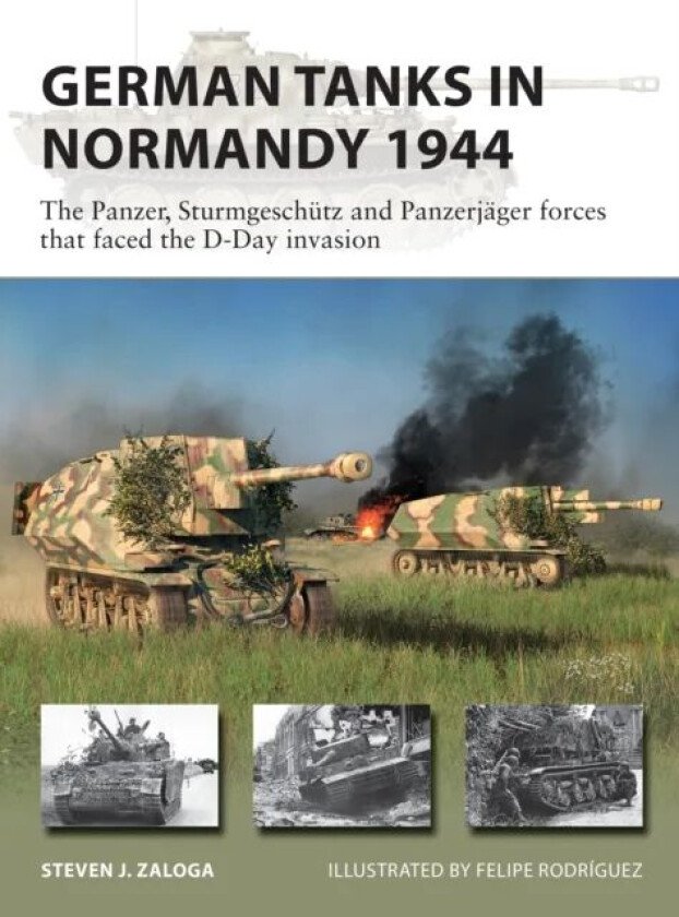 German Tanks in Normandy 1944 av Steven J. (Author) Zaloga