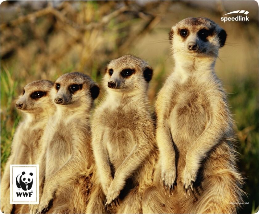 Speedlink Terra Wwf Meerkat - Musematte
