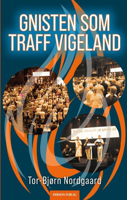 Gnisten som traff Vigeland av Tor-Bjørn Nordgaard